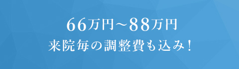 66万円～88万円来院毎の調整費も込み！